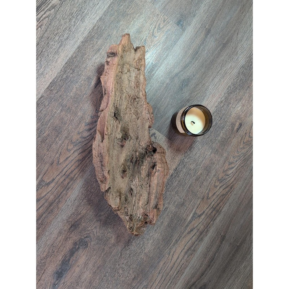 Driftwood So Cal CA Beach Ocean Wood Sculpture Root Art Garden Decor Crafts